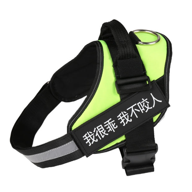Adjustable Dog Harness