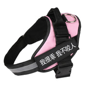 Adjustable Dog Harness