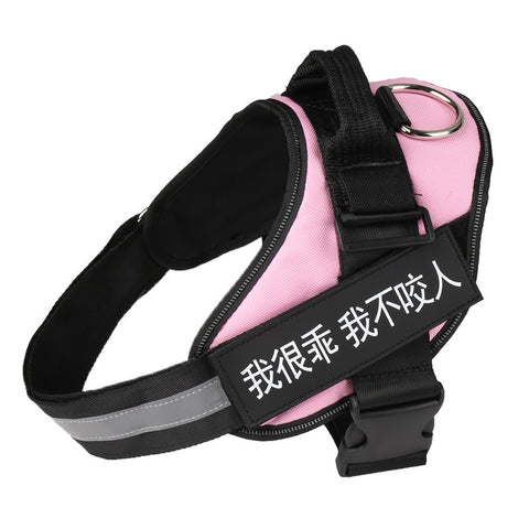 Adjustable Dog Harness