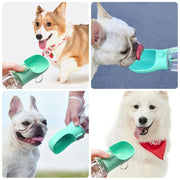 Dogs drinking from a portable water cup, featuring a light green design, ideal for pet hydration on-the-go.